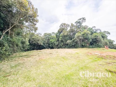 Terreno / Lote para venda no Jardim Pio XII em Pinhais com 2.502m² por R$ 833.225,00