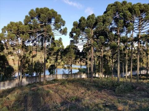 Terreno para venda no Vila Fuck em Piraquara com 1.319,27m² por R$ 923.489,00