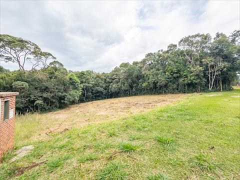 Terreno / Lote para venda no Jardim Pio XII em Pinhais com 2.752m² por R$ 831.058,00
