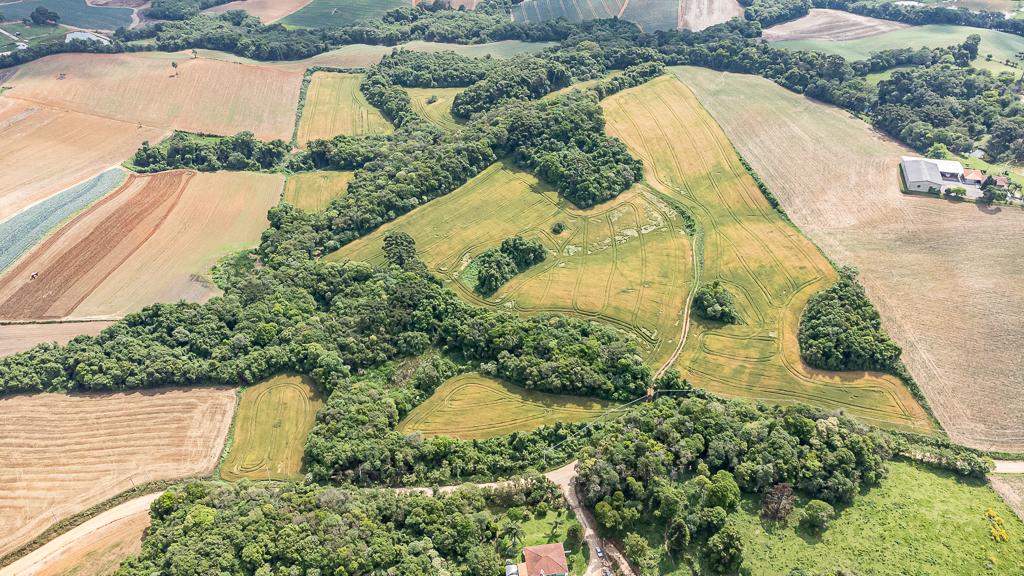 Terreno / Lote para venda no Vila Dom Pedro II em Campo Largo com 145.200m² por R$ 3.000.000,00