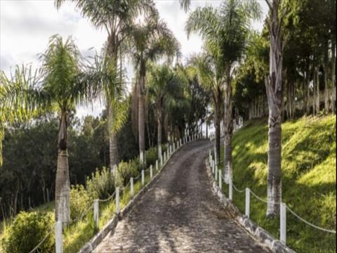 Chácara para venda no Roça Velha em São José dos Pinhais com 36.300m² por R$ 2.450.000,00