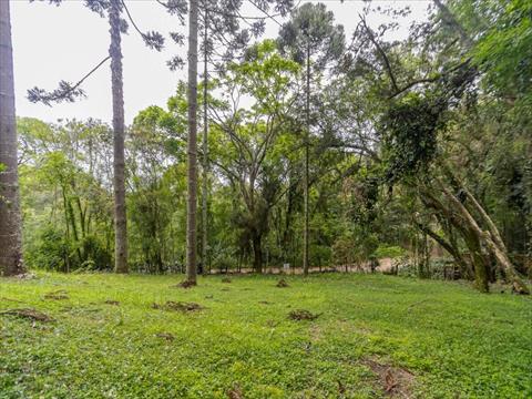 Terreno / Lote para venda no Santa Felicidade em Curitiba com 746m² por R$ 750.000,00