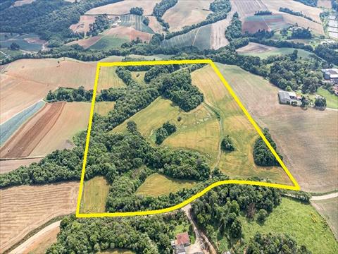 Terreno / Lote para venda no Vila Dom Pedro II em Campo Largo com 145.200m² por R$ 3.000.000,00