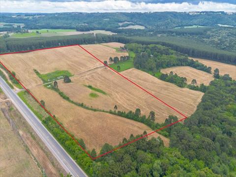 Terreno / Lote para venda no S/n em Lapa com 145.200m² por R$ 3.500.000,00