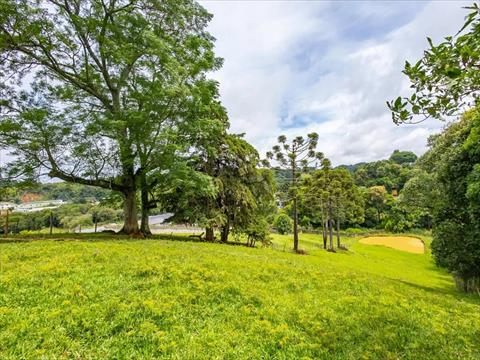 Chácara para venda no Cercadinho em Campo Largo com 0m² por R$ 1.200.000,00